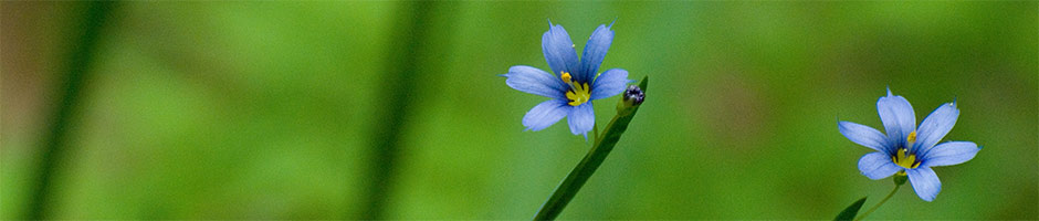 South Mountain Conservancy