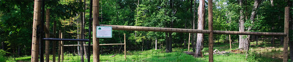South Mountain Conservancy