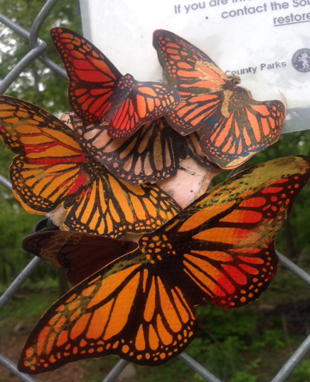 Paralle Migrations: Dream Journey_Artist: Anne Dushanko Dobek