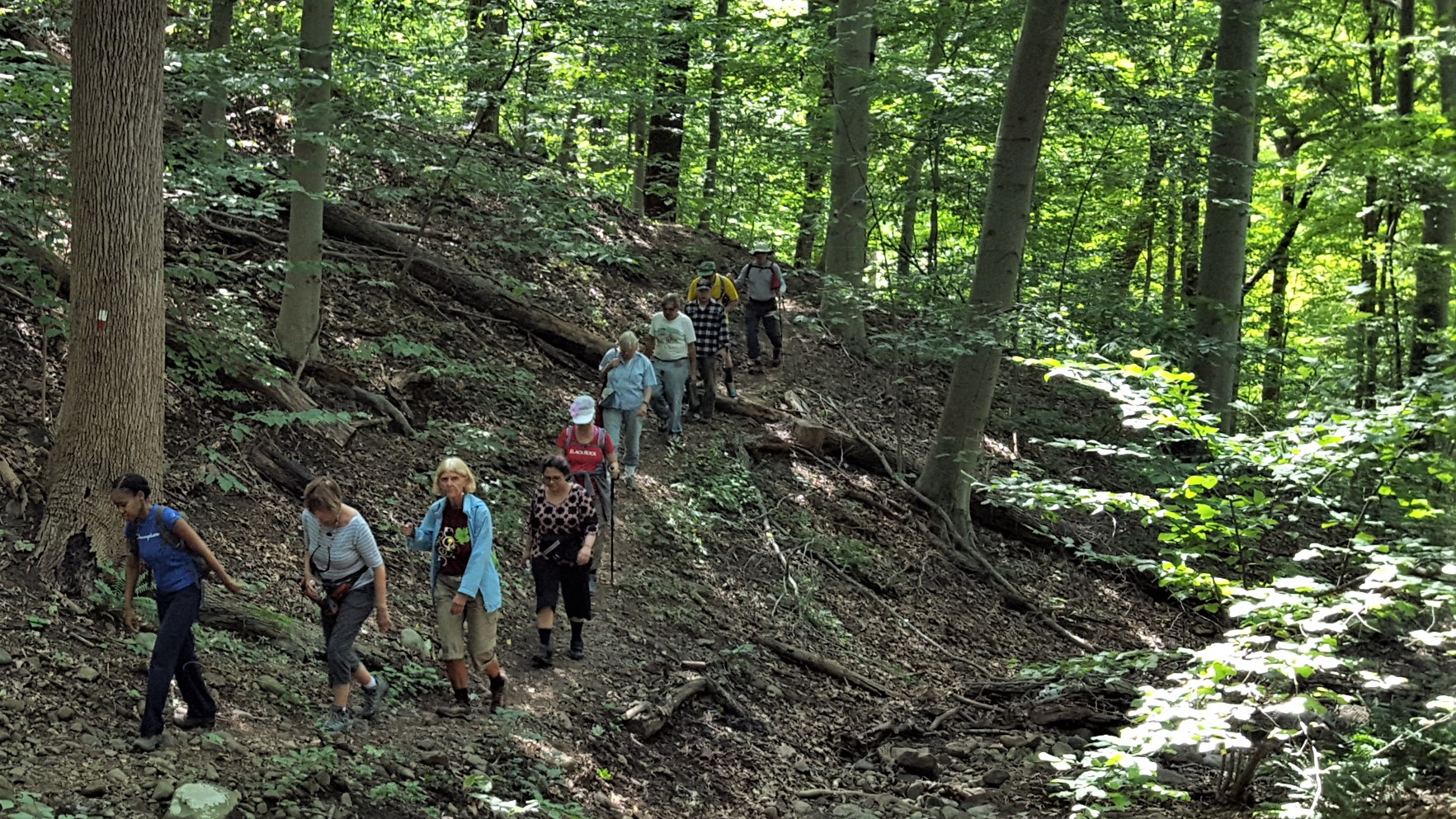 20190901_103126-HIKERS-Cropped