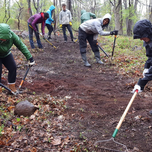 trail-work-dogwood-hill