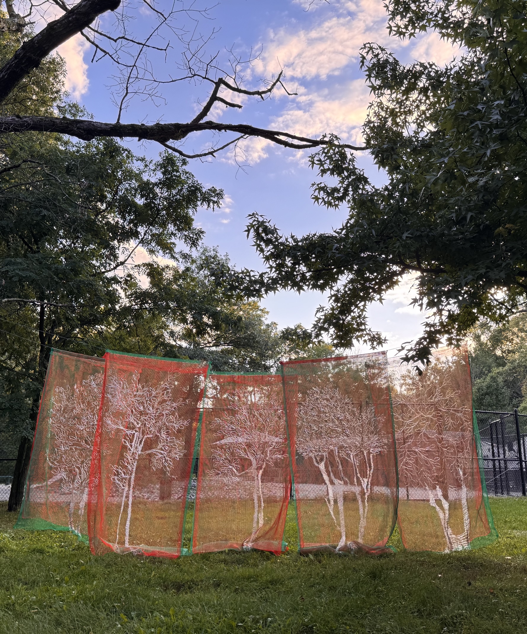 WSP26IMAGES_ChristineDaCruz_Forest